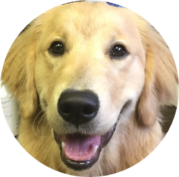 This image has an empty alt attribute; its file name is image.png